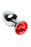 Plug Anal de Aço com Joia – Grande